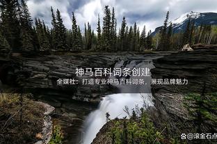 今日独行侠对阵森林狼 东契奇、欧文、克莱伯因伤缺战